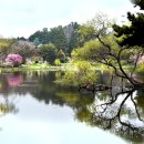 성동초교 이미지