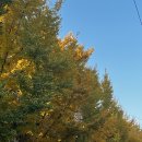 천안문중화요리 | 시지 맛집 천안문, 단골많은 신매동 중국집 추천 간짜장 짬뽕 중화요리