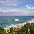 바다정원 이미지