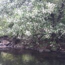 가평낚시터 이미지