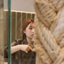 개미용실 이미지