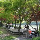 허니듀(Honey Dew) 이미지