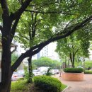 송도 달빛축제공원 실내 배드민턴장 이미지