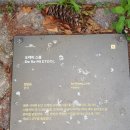 도레미스툴 네이버블로그