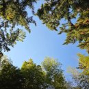 대숲사이로 흐르는 울림이 있는 가을음악회 | 2시의 낭만] 추웠지만 감동 가득! 경남도지사 관사 도민의 집 수요아카데미, 올해 마지막 숲속음악회 후기