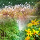 삼거리경로당 이미지