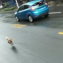버스탄사람들