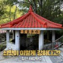 화암 | 정선 화암약수 후기｜화암동굴과 함께 가볼 만한 곳, 물맛은?