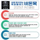 목공구 배우기: 바체어 만들기 | 바돈목 목공 교육 1일차_가벽 시공부터 공구 활용까지 완벽 실습!