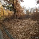 유경선 선생 묘 이미지