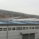 환영 태양광발전소 이미지