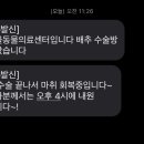 빛고을 동물의료센터 이미지