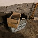 해도그린마트 | [가평/숙소] 달그린 감성 펜션 1호 뚜벅이 근교 여행 불멍 경험 및 솔직 후기 2편