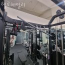 헬로헤일리 이미지