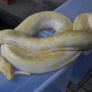 너의아파트 이미지