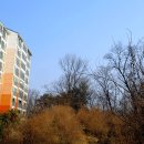 올레길 도심형 1코스 이미지