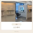 파컷헤어 - 안산시 단원구 | 의정부고산동미용실 오드헤어 테슬컷 단발 후기! 두피스파컷까지 만족했던 의정부머리잘하는미용실