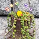 빨래하는날 이미지