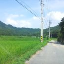 그린낚시터 이미지