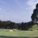 한솔골프 이미지