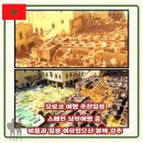 메디닉스 | 모로코 여행 추천일정,스페인 남부여행 중 일정/비용 여유있는 분께 강추