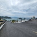 티라 061 이미지