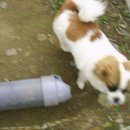 박곡농장 이미지