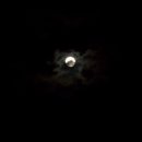 양재근린공원 이미지