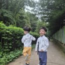 한복만들기 이미지