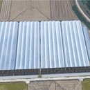 태성2태양광발전소 이미지