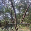 큰나무 주식회사 이미지