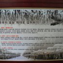 황금 명태 본가 이미지