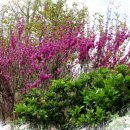 대구교육정보원 이미지