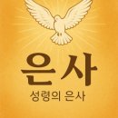 은사랑 - 창원시 진해구 벚꽃로 74 | 은사랑