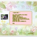 구로4동 자치회관 이미지