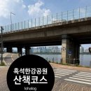 흑석한강공원 산책 코스｜흑석시장 음식 포장해서 한강 피크닉 다녀온 후기