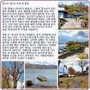 감나무집 이미지