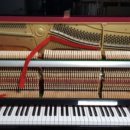 달맞이 경동메르빌 이미지