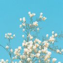 리바트현대 - 송파구 충민로 66 | 리바트현대