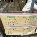 금천농장 이미지