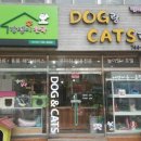 강생이천국 이미지