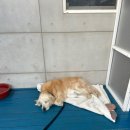 미쁨수산