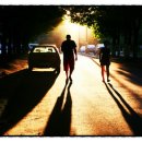 삼육오 (365) 이미지