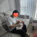 마미편한세상 이미지