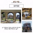 788 | 야탑 대형카페 [비디788]에서 여유로운 오후에 맛있는 베이커리 먹기🥖