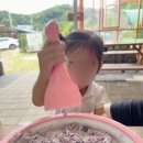주연팜