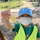 수봉공원 (유아숲체험원) 이미지