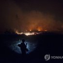 (주)동호유통