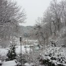 안동농원 이미지