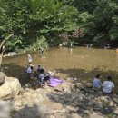 국립유명산자연휴양림(일반)